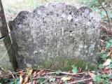 image of grave number 739264